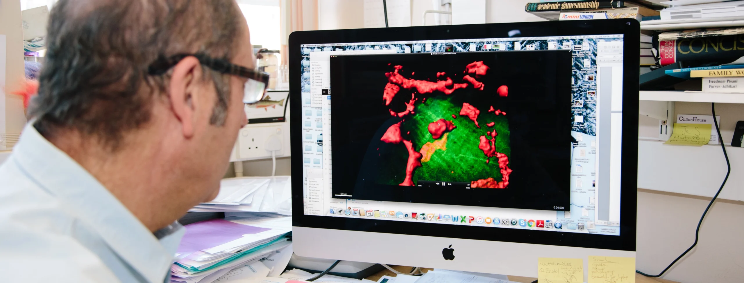 Researcher examining molecular protein structure visualization on computer display in laboratory office setting.