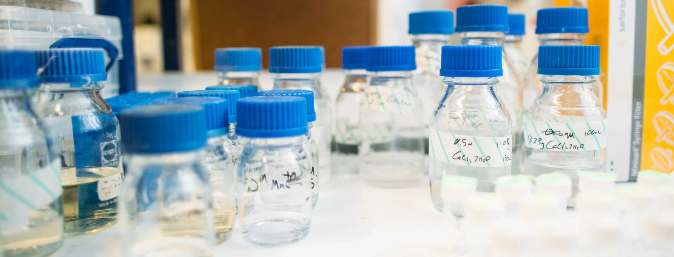 Laboratory glass bottles with blue caps containing clear liquid samples, some labeled with handwritten notes on white surface.